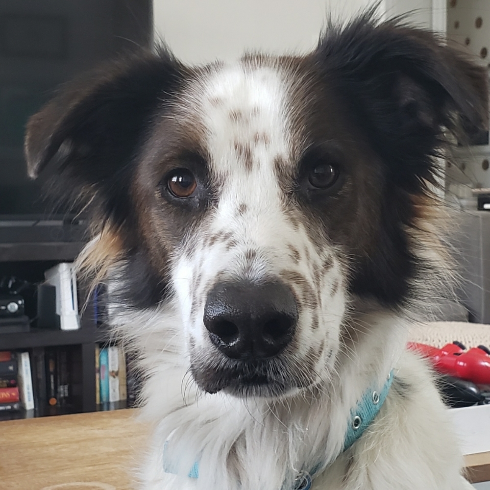 Meet your Posher, Cyndi